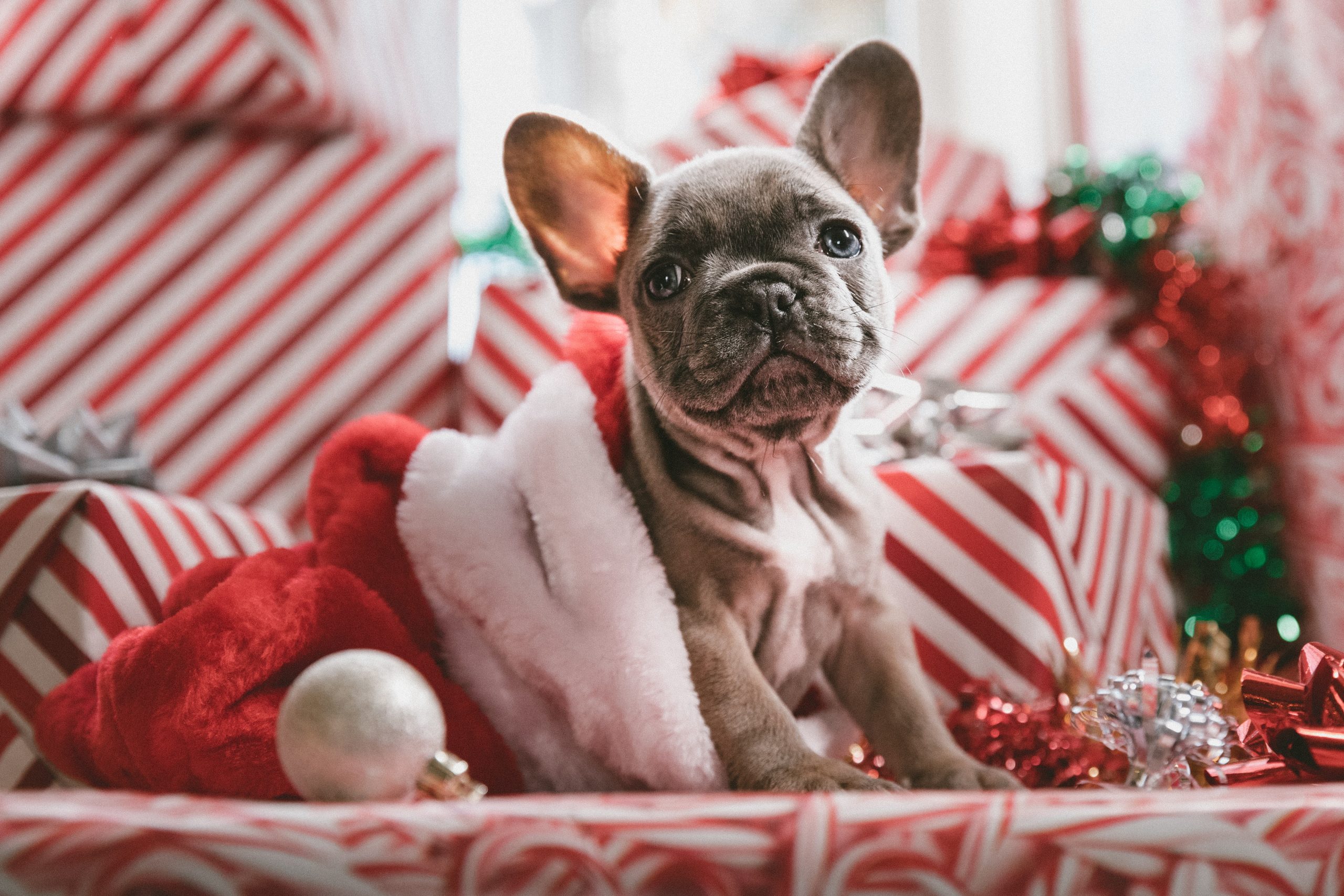 affordable gifts on a tight budget